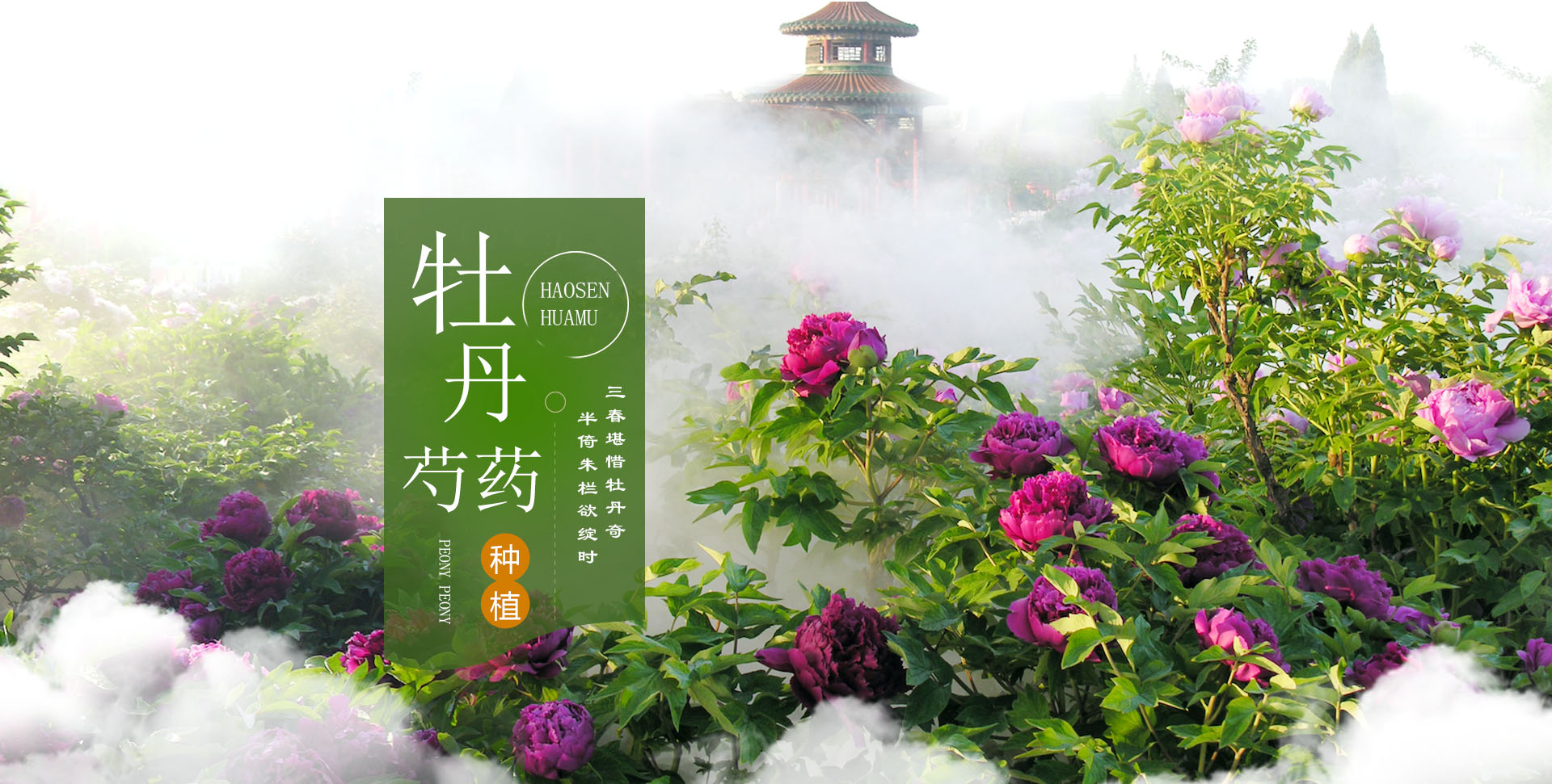 成功案例