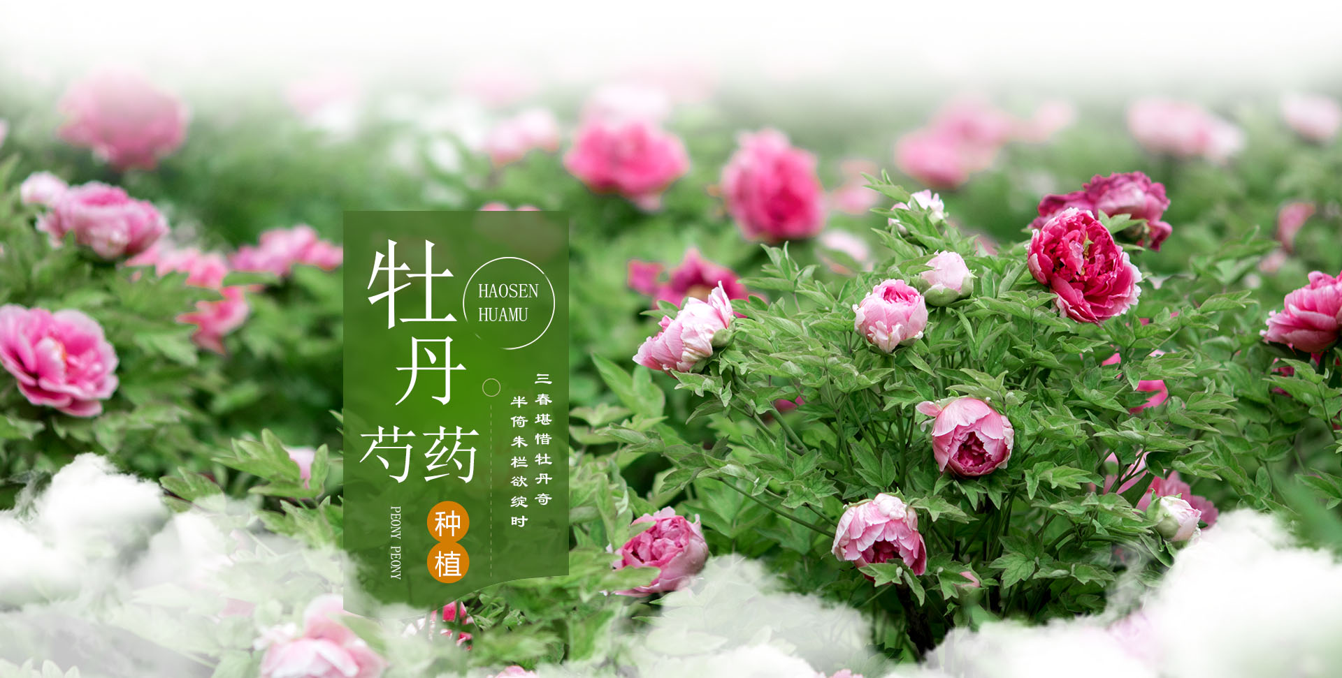 行業(yè)資訊